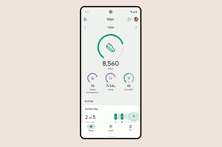 Fitbit Fitbit