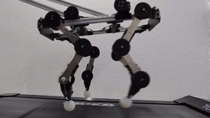 Robotic dog Robotic dog