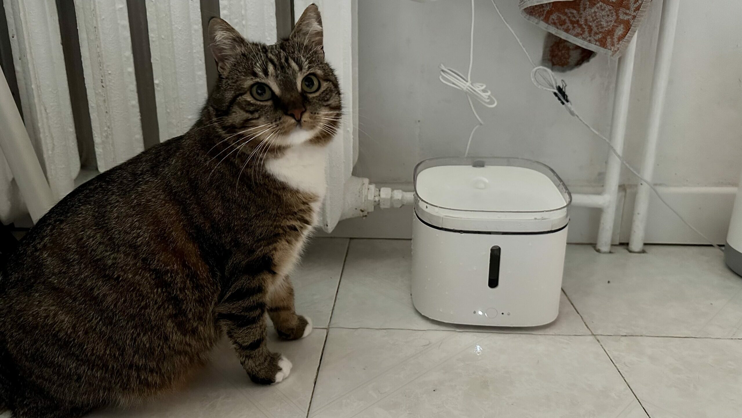 Xiaomi Smart Pet Fountain