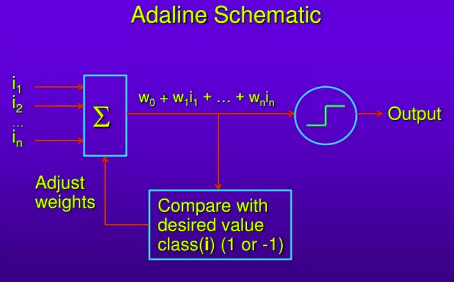 adaline network