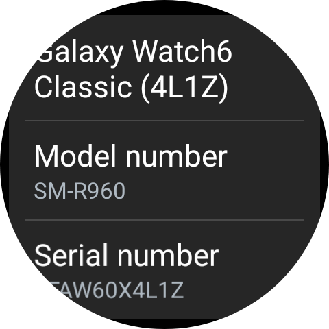 Samsung Galaxy Watch6 Classic