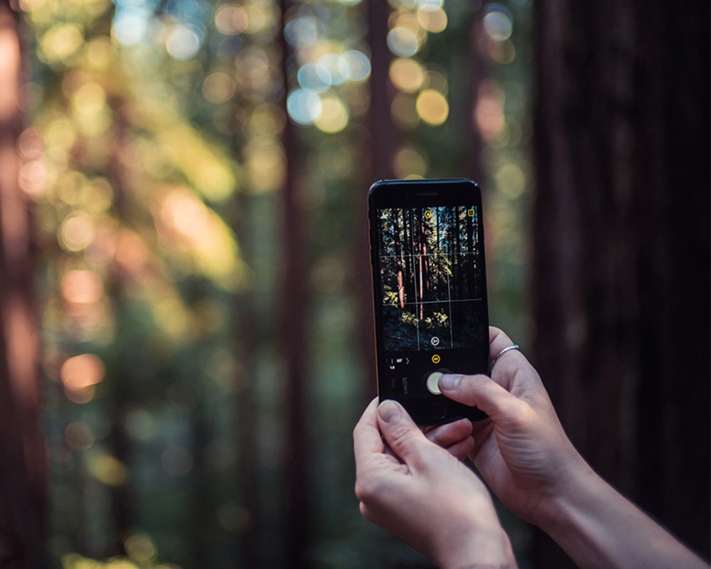 5 best third-party iPhone camera apps