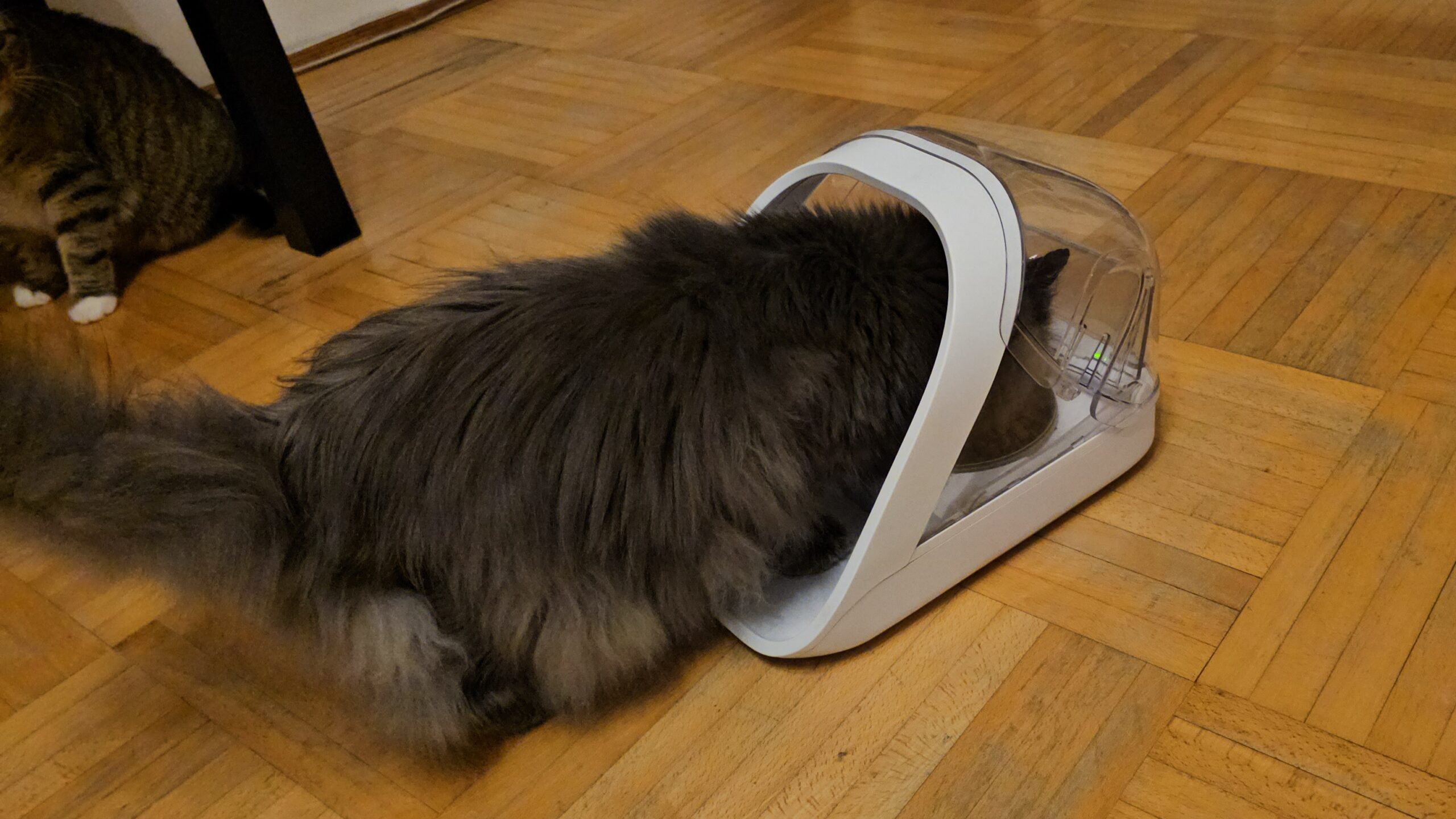 SureFeed Microchip Pet Feeder