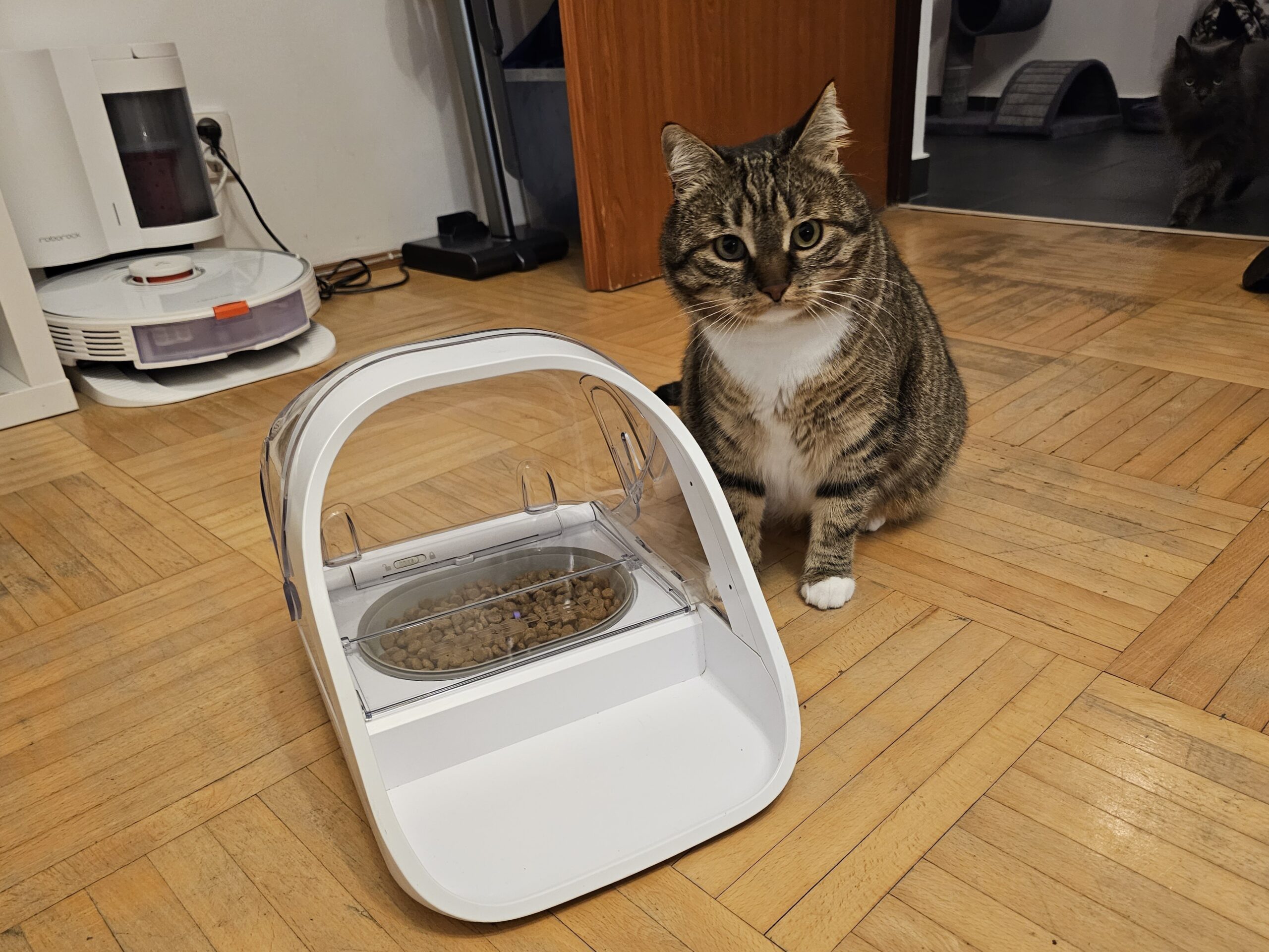 SureFeed Microchip Pet Feeder