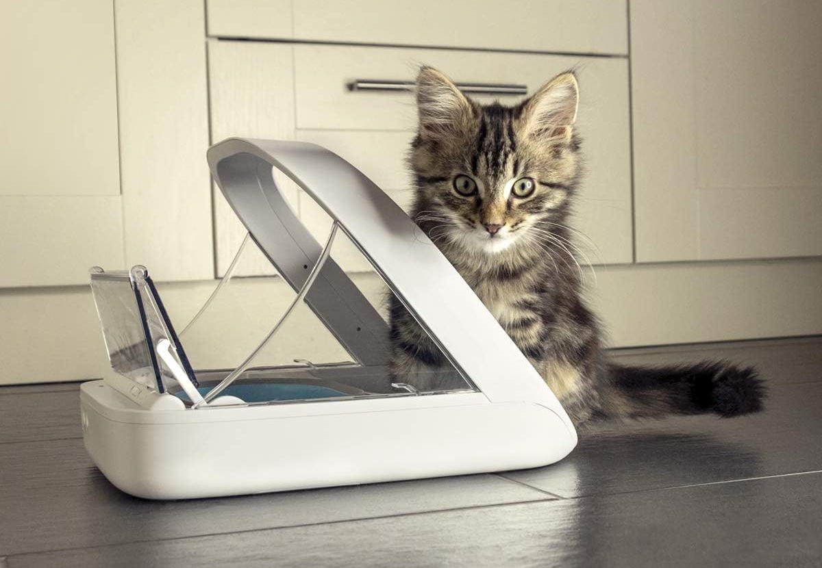 SureFeed Microchip Pet Feeder