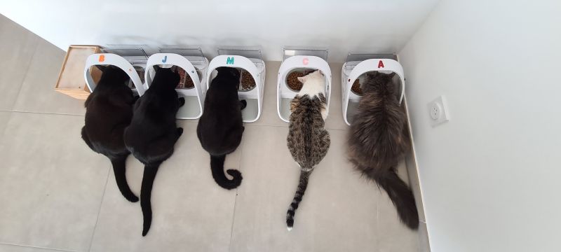 Microchip Pet Feeder Connect