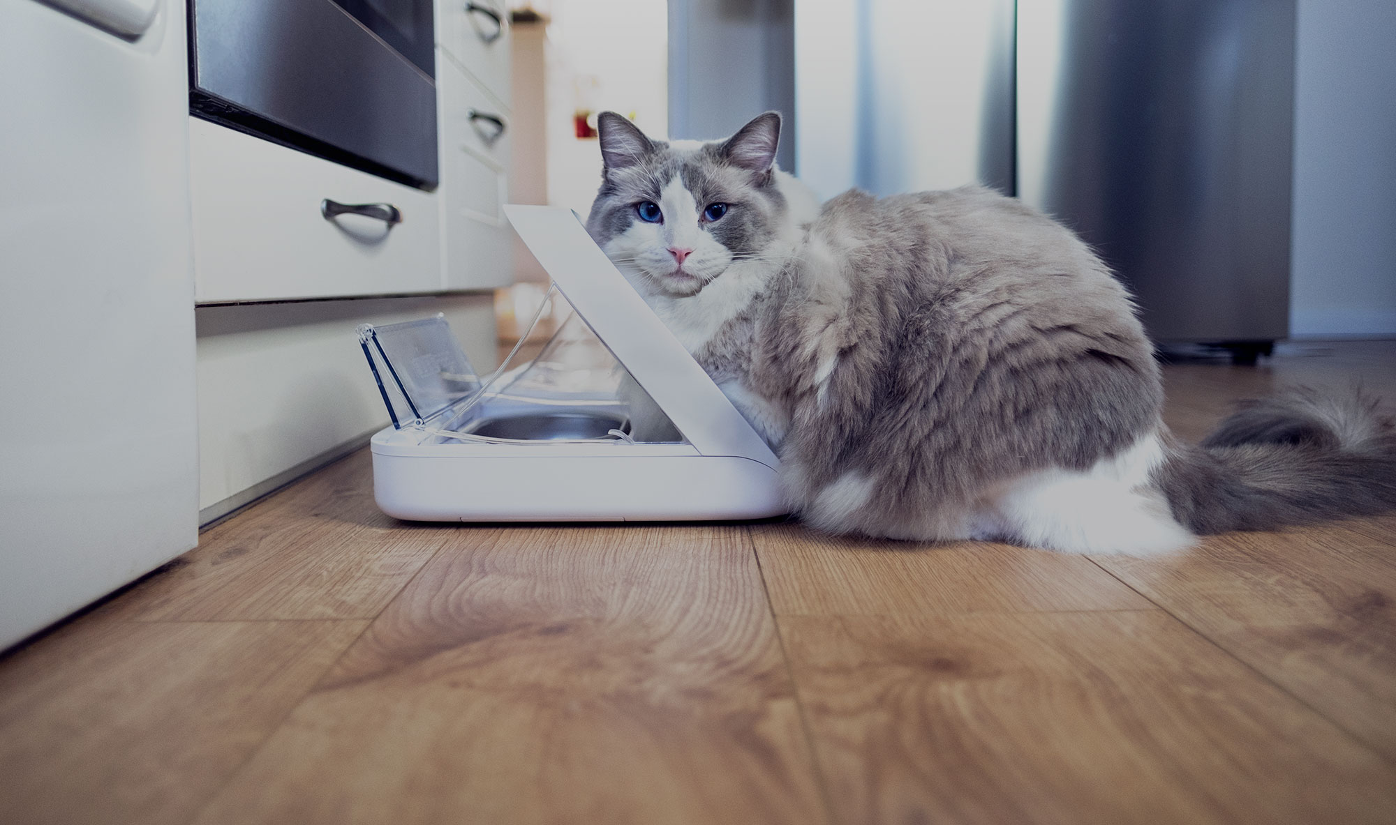 SureFeed Microchip Pet Feeder