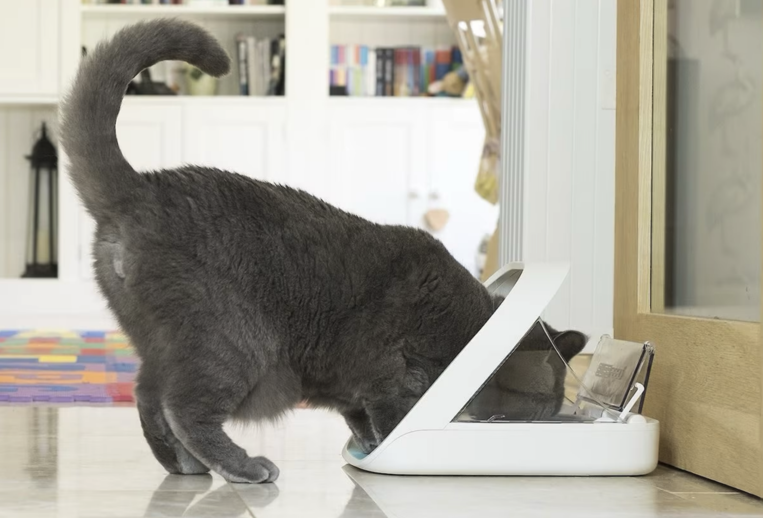 Microchip Pet Feeder