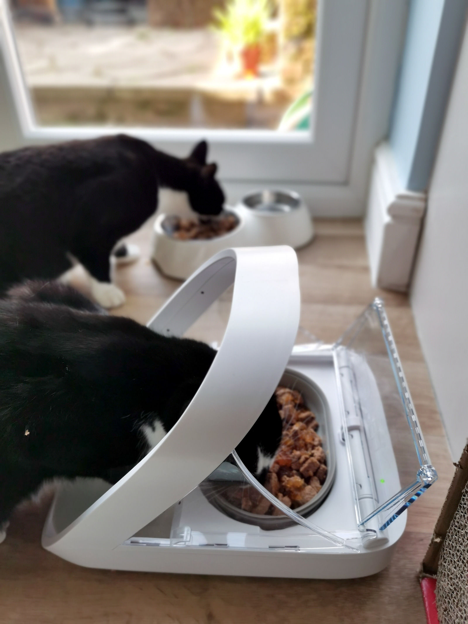 Microchip Pet Feeder