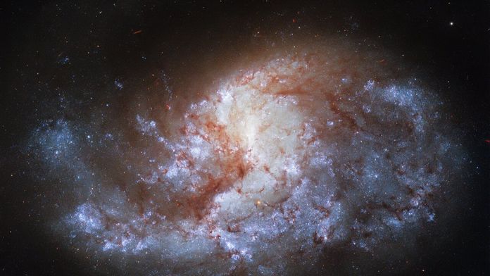 NGC 1385