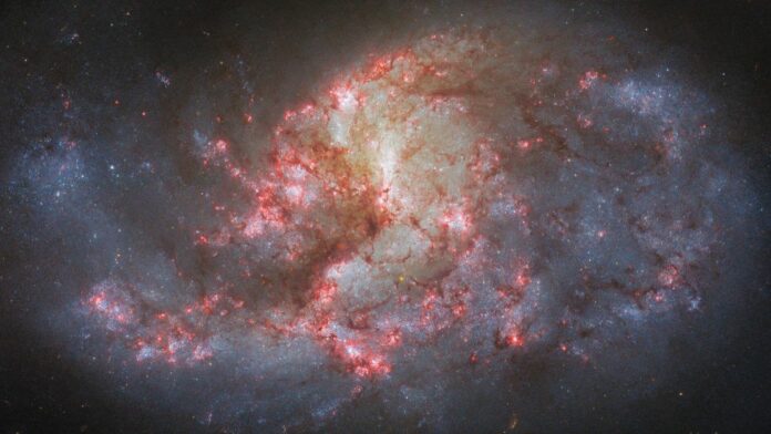 NGC 1385