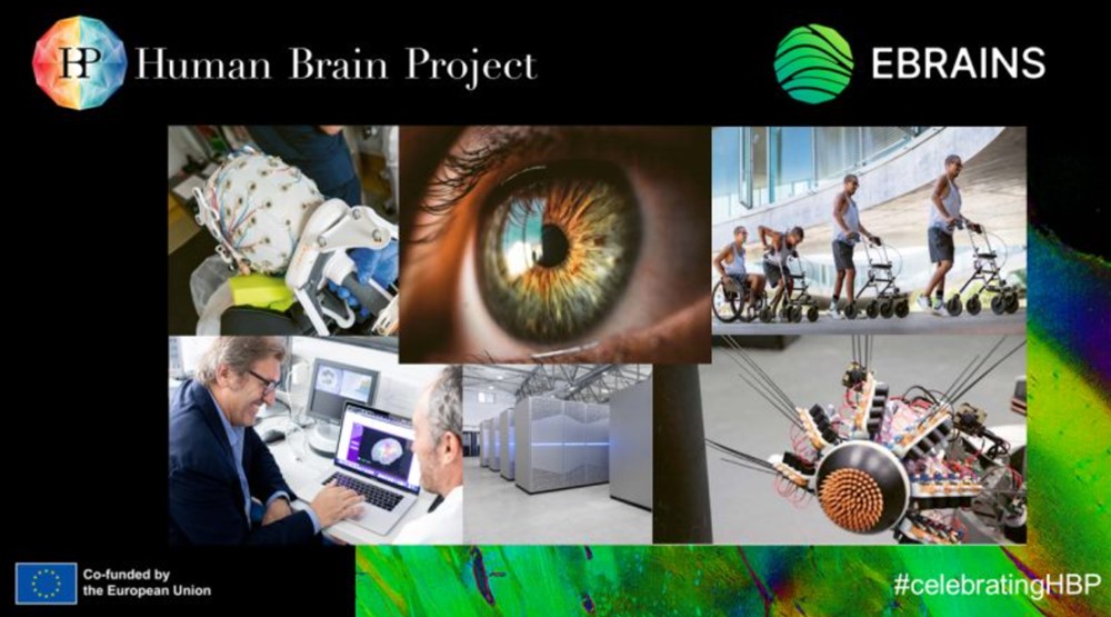 Human Brain Project 