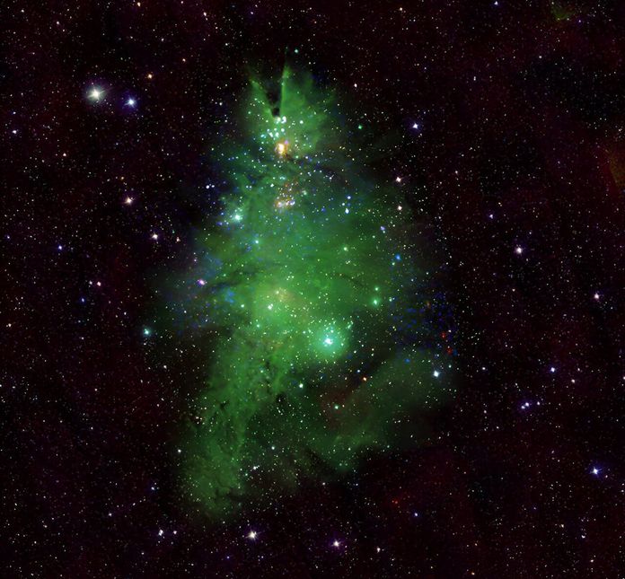 NGC 2264