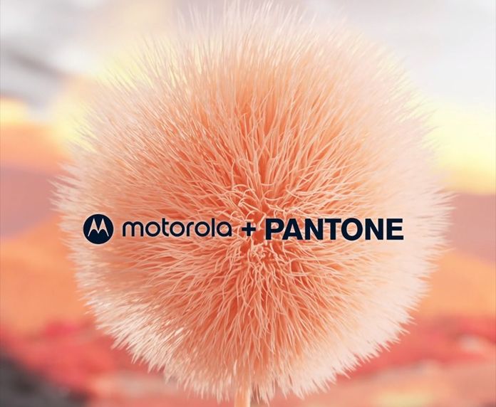 Pantone + Motorola