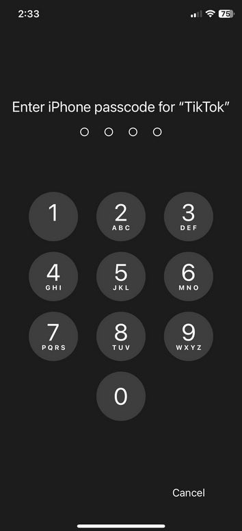 TikTok for iPhone password request