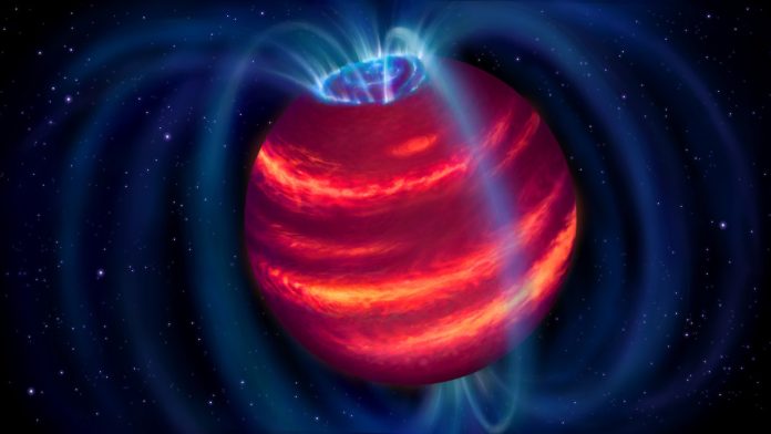 Cold brown dwarf