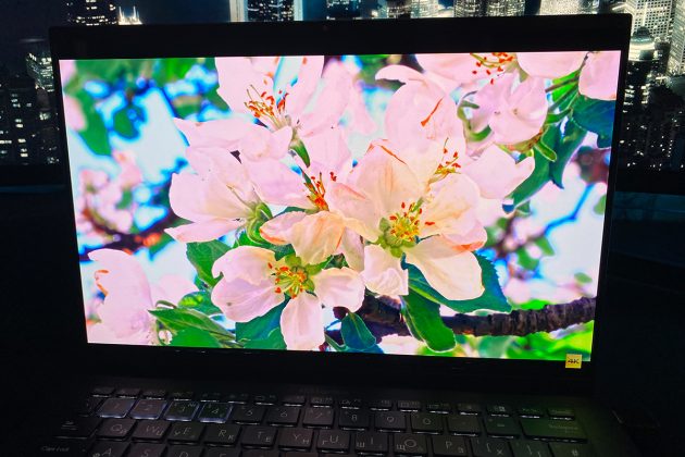 ASUS ExpertBook B9 OLED (B9403CVAR)