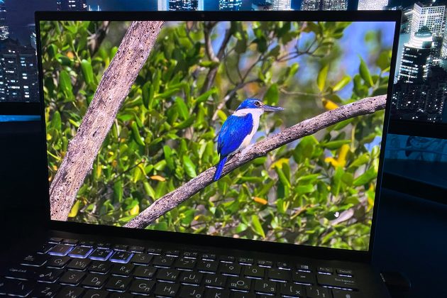 ASUS ExpertBook B9 OLED (B9403CVAR)