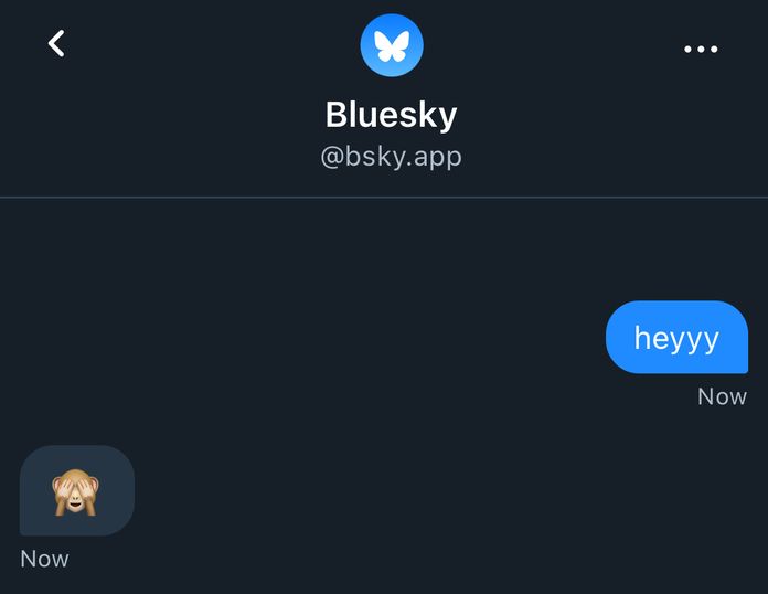 Bluesky DM