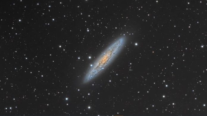 Sculptor Galaxy NGC 253