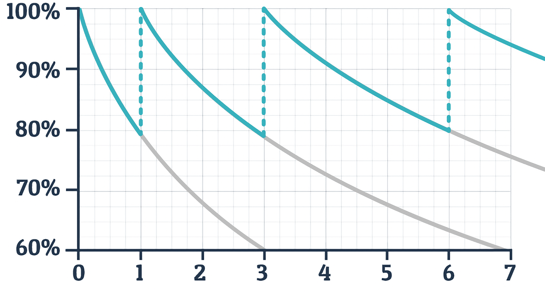 Polidict article spaced repetition