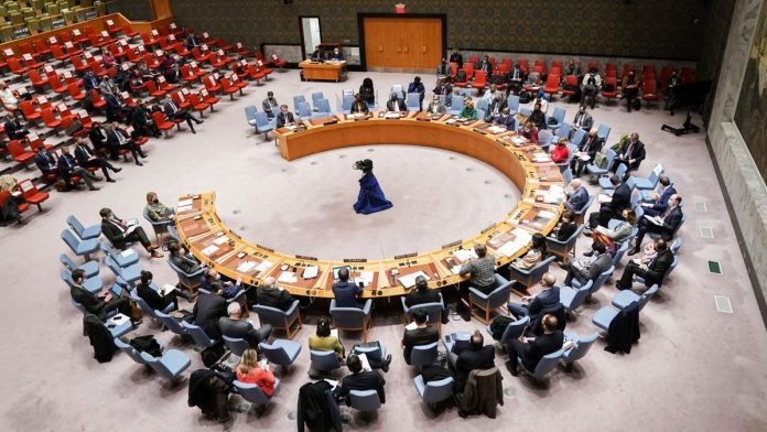 UN Security Council