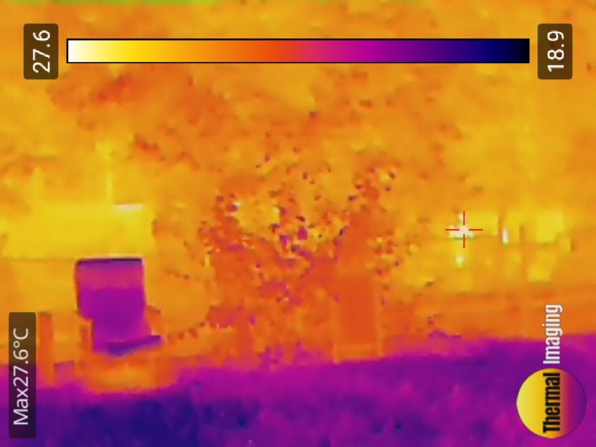 Phonemax R4GT - Thermal Image Camera Test