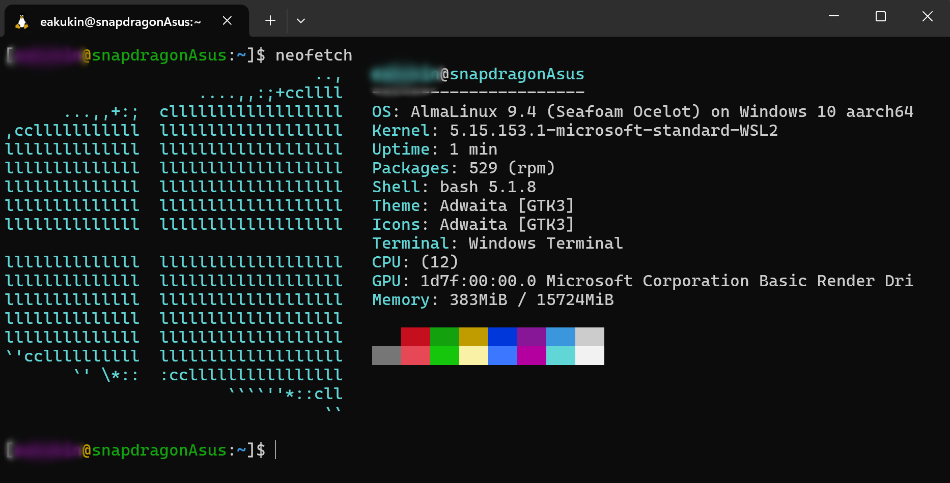 Windows Subsystem for Linux