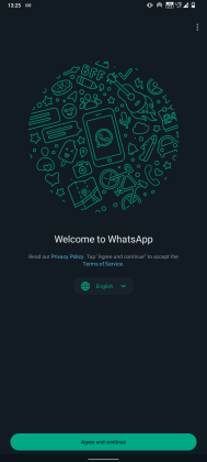 WhatsApp Companion Mode