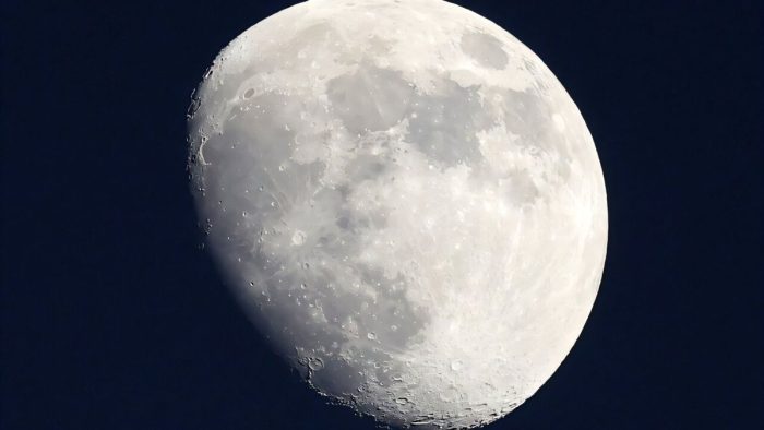 Moon Moon