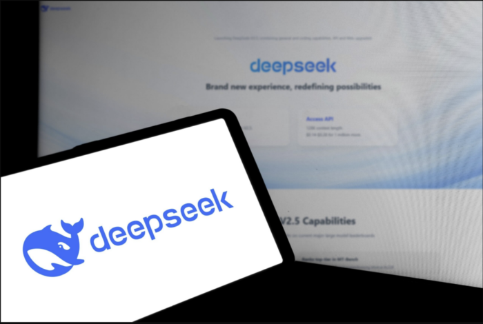 DeepSeek