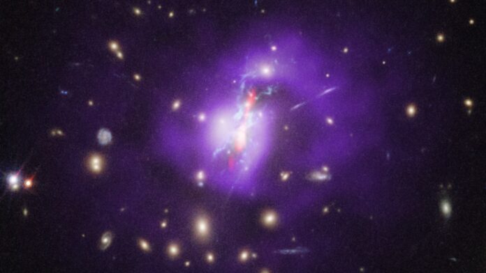 Phoenix Cluster Phoenix Cluster