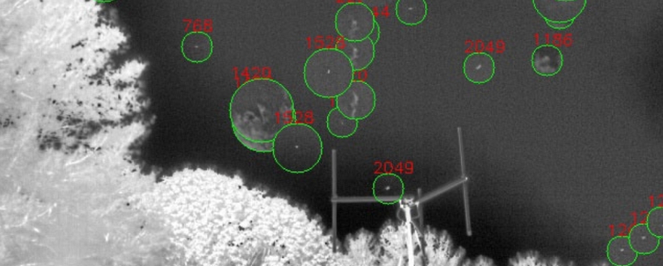 Інфрачервона камера з AI шукатиме НЛО в небі Інфрачервона камера з AI шукатиме НЛО в небі