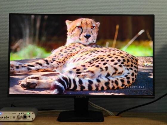 GIGABYTE GS25F2