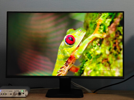 GIGABYTE GS25F2