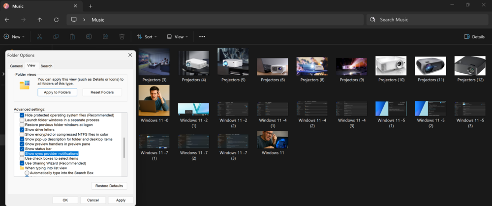 Windows 11 Windows 11