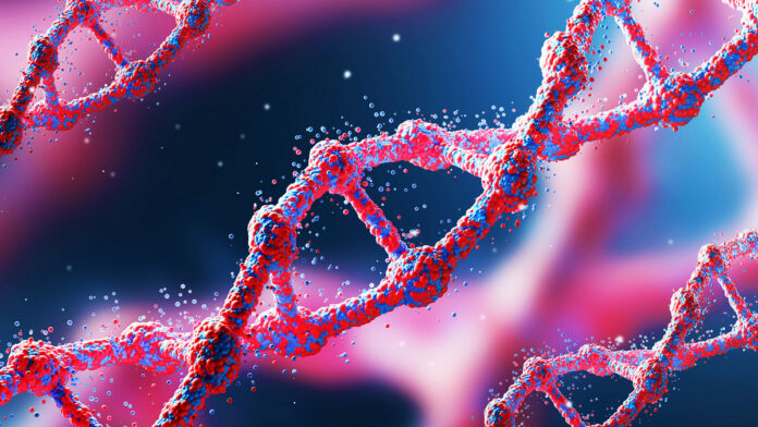 human DNA