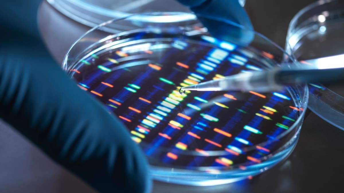 Велика Британія створює першу в світі синтетичну ДНК людини