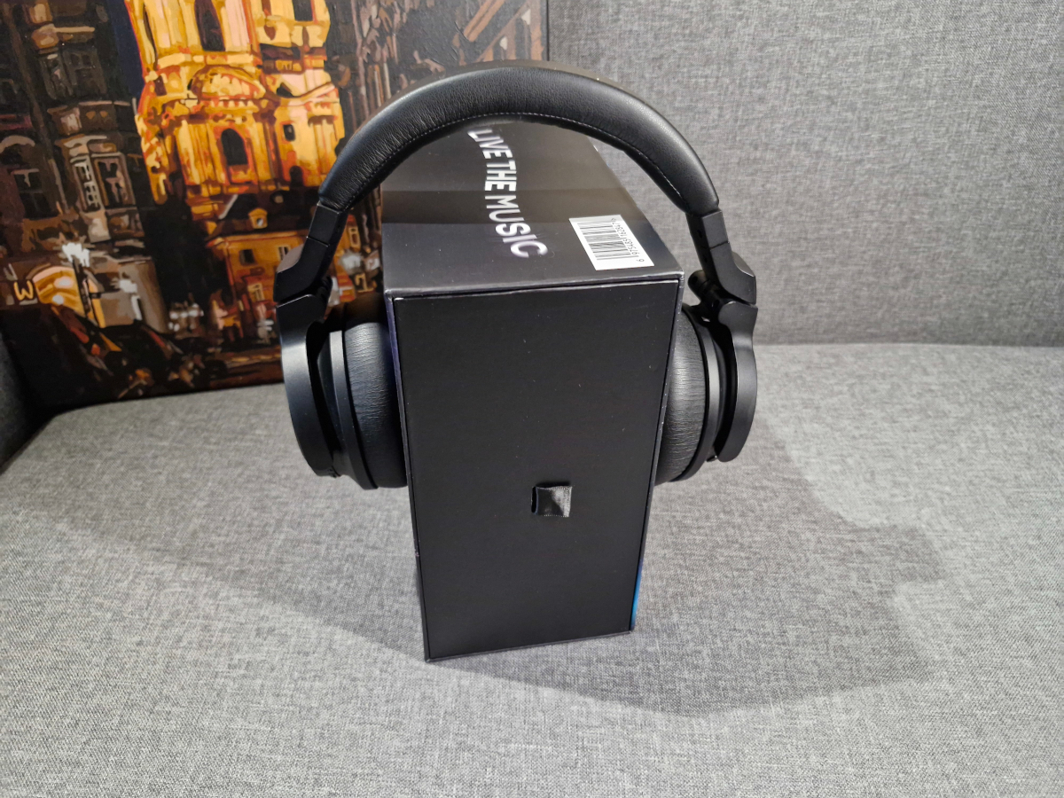 Kiwi Ears Aventus