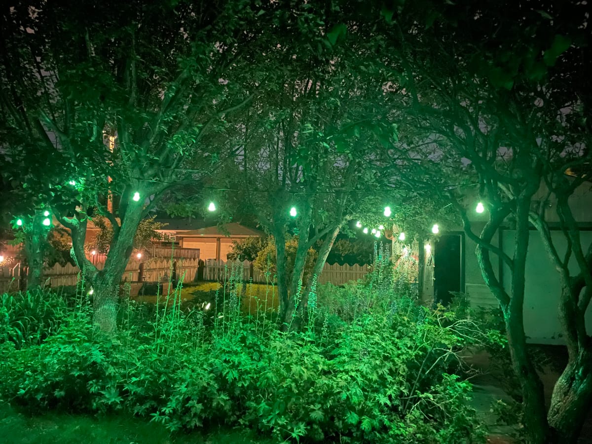 Nanoleaf Outdoor String Lights Nanoleaf Outdoor String Lights