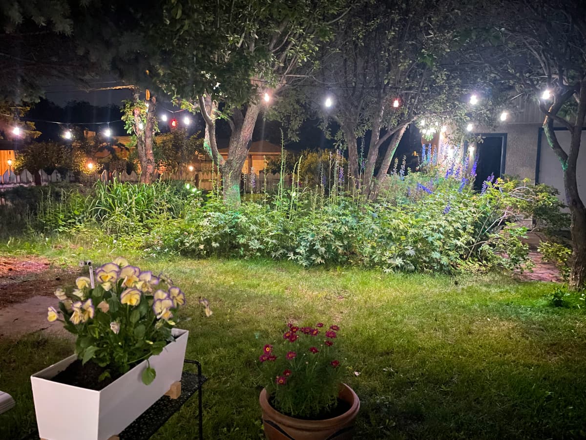 Nanoleaf Outdoor String Lights Nanoleaf Outdoor String Lights