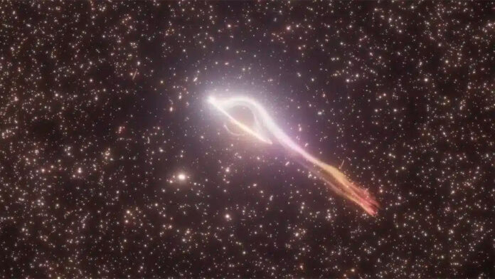 Rogue black hole star- Rogue black hole star-