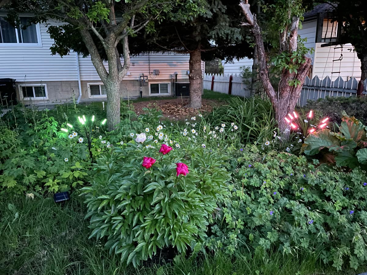 Nanoleaf Solar Garden Lights Solar Garden Lights