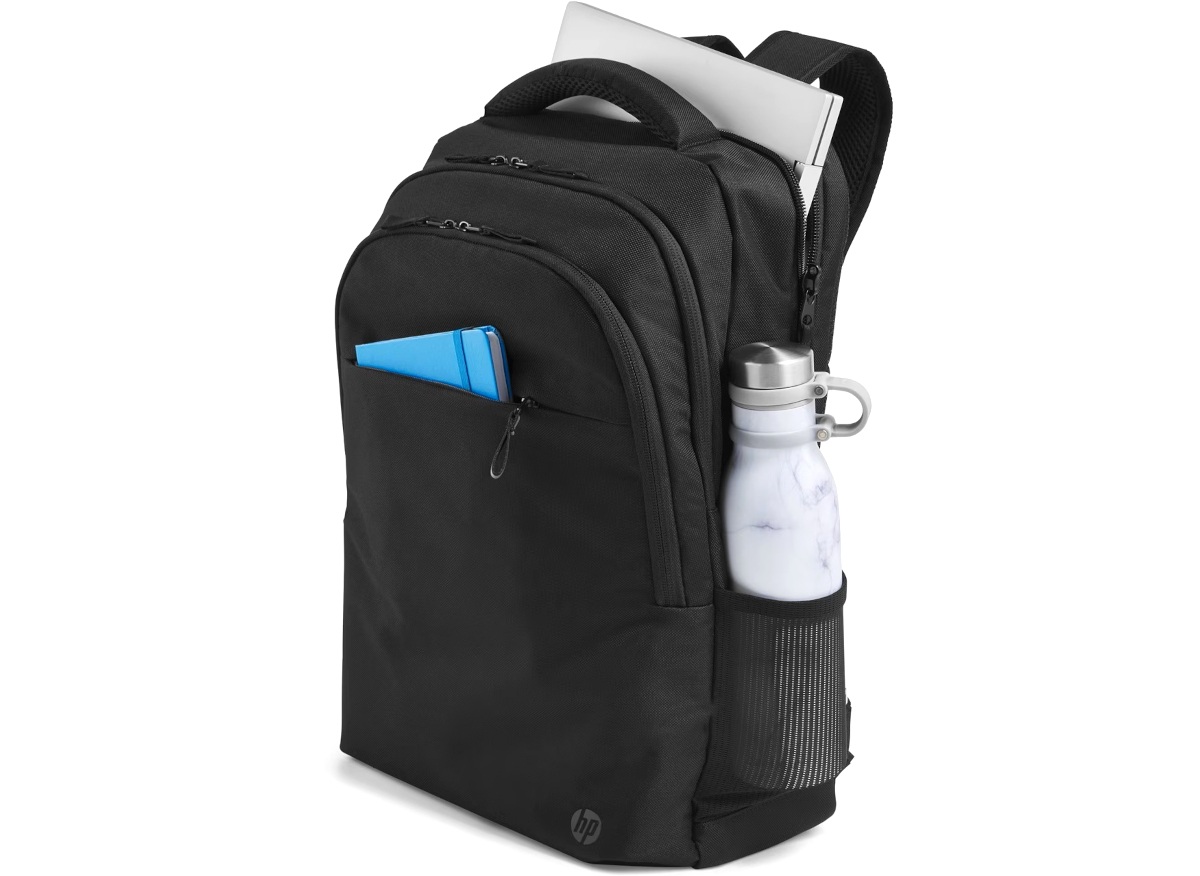 HP Professional 17.3