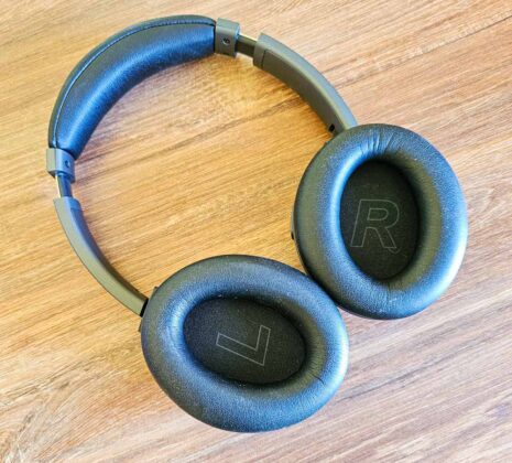 Kiwi Ears Ardor