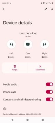 Motorola Moto Buds Loop