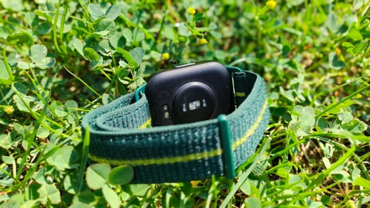 Moto Watch Fit