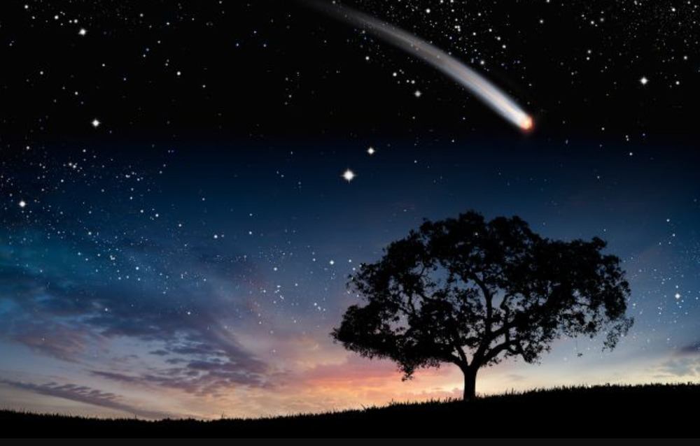 Perseids 2025 Perseids 2025