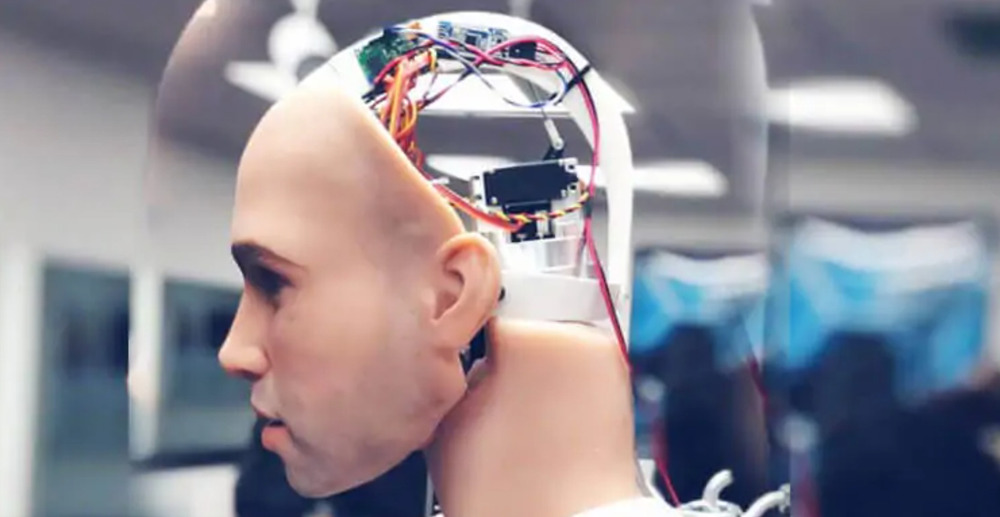 Sex Robots Sex Robots