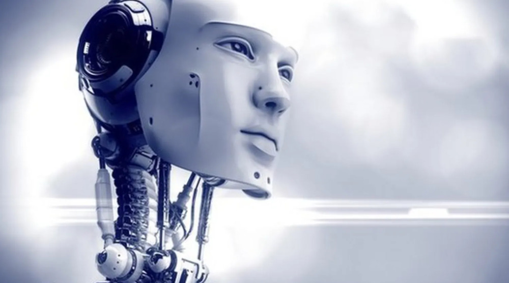 Sex Robots Sex Robots